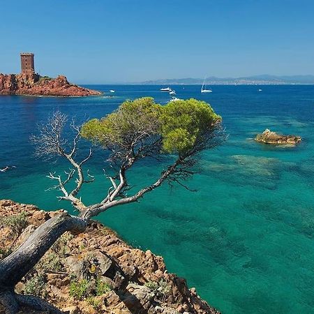 Appartement Frejus Avec Jardin, Piscine, Plage, Tennis المظهر الخارجي الصورة