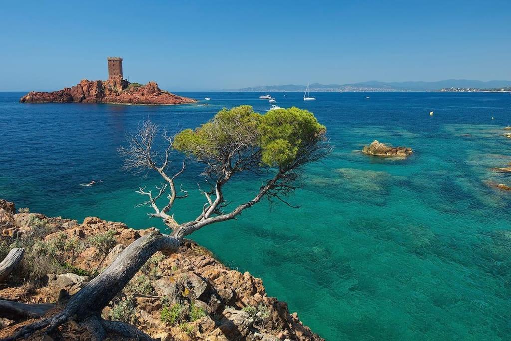 Appartement Frejus Avec Jardin, Piscine, Plage, Tennis المظهر الخارجي الصورة